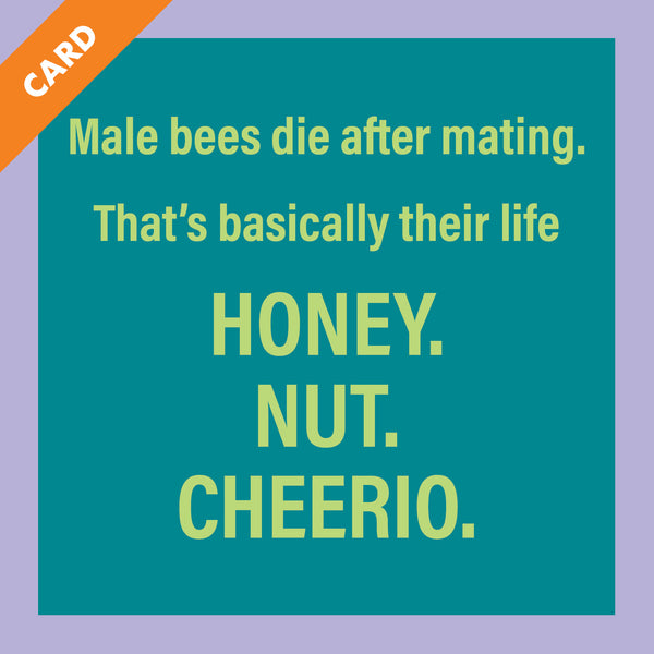 Honey Nut Card