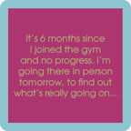 6 Months Coaster