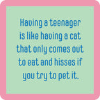 Teenager Cat Coaster