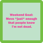 Weekend Goal Coaster