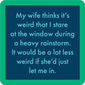 Rainstorm Coaster