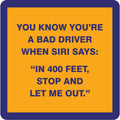 Bad Driver Coaster