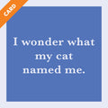 Cat Named Me Card