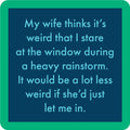 Rainstorm Coaster