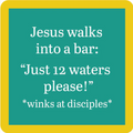 12 Waters Coaster