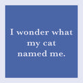 I Wonder What My Cat Named Me Coaster