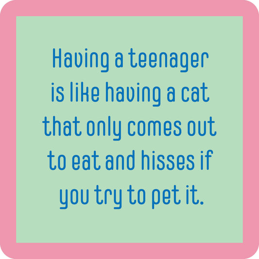 Teenager Cat Coaster